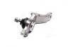 Фото 2 - опора шаровая TOYOTA Land Cruiser ZJ9 96-,4Runner,Hilux ZN18 95-,Tundra 00-,lower.FL 555 SB3806L Опора шаровая TOYOTA Land Cruiser ZJ9 96-,4Runner,Hilux ZN18 95-,Tundra 00-,lower.FL 555 SB3806L (фото 2)