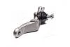 Фото 4 - опора шаровая TOYOTA Land Cruiser ZJ9 96-,4Runner,Hilux ZN18 95-,Tundra 00-,lower.FL 555 SB3806L Опора шаровая TOYOTA Land Cruiser ZJ9 96-,4Runner,Hilux ZN18 95-,Tundra 00-,lower.FL 555 SB3806L (фото 4)