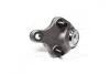 Опора кульова Toyota Auris, Corolla, RAV4, Verso (06-) 555 SBT222 (фото 2)