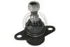 Кульова опора нижня BMW X5 (E53) 00-07 220351