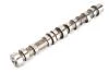Розподільний вал IN FIAT/OPEL/SUZUKI 1.3 JTD Z13DT/Z13DTH/Z13DTH/Z13DTJ/Y13DT/169A1/199A2 2003-> (AE CAM711 (фото 2)