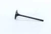 Клапан двигателя IN FORD/MAZDA MONDEO/5 SEBA/CJBA/CJBB/AODA/LF 35X5.5X103.4 (пр-во AE) V98032