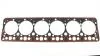 Прокладка головки, OM366 6.0D 10045900