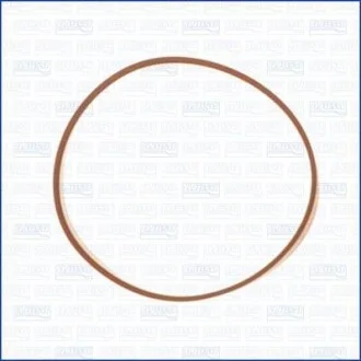 Прокладка, впускний колектор AJUSA 24028700 (фото 1)