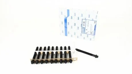 Комплект болтів головки цилідра (10шт)), 1,9dCi AJUSA 81016100