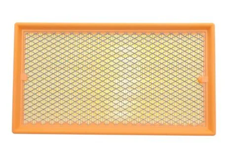 Фільтр повітряний (з сіткою) Ford Focus I 98-04, Tourneo Connect 02-, Transit Connect 02- Альфа Alpha Filter AF1616s