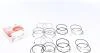 Кольца поршневые PR-DAE-49-3548-000-SET
