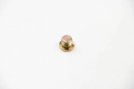 Олійна пробка Trafic/Vivaro/Movano 16x1.5mm ASAM 30385 (фото 1)