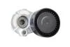 Ролик ременя генератора Renault Logan (04-), Megane (03-), Kangoo, Laguna, Sandero (08-), Duster (10-) 1,5 dCI з конд (30686) Asam