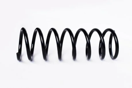 FORD Пружина задняя C-Max,Focus C-Max 03-10 ASAM 73805 (фото 1)