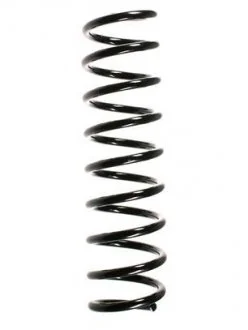 Пружина подвески задняя BMW 5 (E39) 525 D (00-03) ASAM 75883