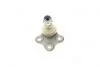 Фото 2 - опора шаровая NISSAN PRIMASTAR; OPEL VIVARO 2001- ASMETAL 10RN0510 Опора шаровая NISSAN PRIMASTAR; OPEL VIVARO 2001- ASMETAL 10RN0510 (фото 2)