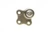 Фото 4 - опора шаровая NISSAN PRIMASTAR; OPEL VIVARO 2001- ASMETAL 10RN0510 Опора шаровая NISSAN PRIMASTAR; OPEL VIVARO 2001- ASMETAL 10RN0510 (фото 4)
