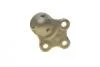 Кульова опора передня л/п Renault Laguna 2.0 16V 07-/2.0 Dci 08- ASMETAL 10RN0515 (фото 3)