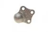 Опора кульова л/п RENAULT MEGANE III, CC, GRAND/SCENIC III 1.2-2.0 08- ASMETAL 10RN5610 (фото 6)