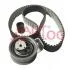 Комплект ГРМ Skoda Fabia/VW Passat/Golf 1.9TDI 00- (рем. Conti CT1028) ZK1036