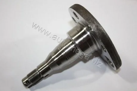Ступица колеса зад. лева (+ABS) VW Passat 99-/Golf 1,6D -91 Automega (Dello) 110043410