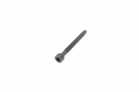 Болт крепления форсунки VW Caddy 1.9/2.0 TDI/SDI 04-10 / T5 1.9 TDI 03-09 (M6x64) AUTOTECHTEILE 310 3016 (фото 1)
