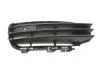 Решетка бампера, левая VW Touareg 11 - 14 AUTOTECHTEILE 385 4001 (фото 1)