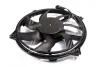 Вентилятор, охлаждение двигателя AVA COOLING PE7556 (фото 3)