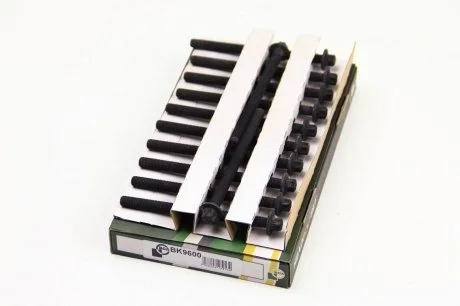 Комплект болтів головки блоку циліндрів двигуна BGA BK9600