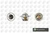 Термостат 88°С  Ford OHV с прокладкой, Nissan Micra, Note, Tiida CT5540