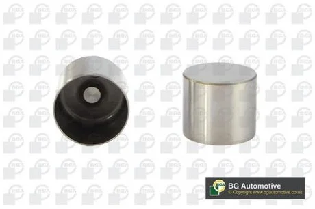 Гідрокомпенсатор Nissan Opel Renault Megane Trafic Clio Kangoo BGA HL7354