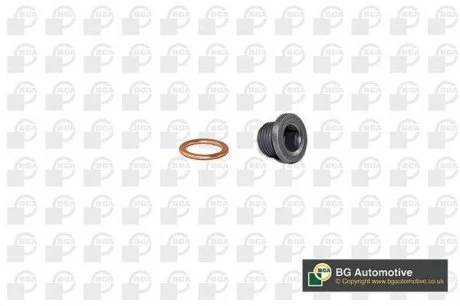 Олійна пробка Trafic/Vivaro/Movano 16x1.5mm BGA PK1401 (фото 1)