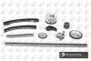 Цепь с натяжителем в комплекте TC6300VFK
