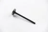Клапан выпуск. A3/A4/A6/OCTAVIA/GOLF IV/PASSAT 1.8/2.8D  94-08 V033438