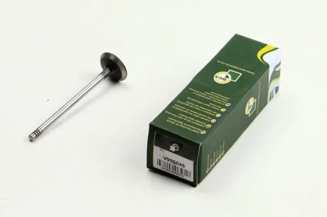 Впускний клапан Citroen C5 2001-2004, C8 2003-2006, Dispatch/Jumpy 2000-2004 BGA V996045