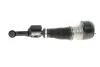 Амортизатор подв. MERCEDES S-CLASS (W221) передн. прав. газов. B4 (пр-во Bilstein) 44-110475