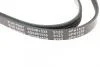 Ремень генератора BLUE PRINT AD04R1538 (фото 4)