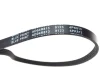 Ремінь генератора BLUE PRINT AD04R813 (фото 2)