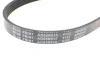Ремінь генератора BLUE PRINT AD05R915 (фото 4)