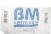 Фильтр сажевый BM CATALYSTS BM11033 (фото 2)
