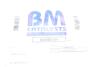Катализатор BM CATALYSTS BM80518H (фото 2)