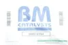 Катализатор BM CATALYSTS BM91635H (фото 2)