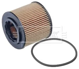 - Фільтр оливи Seat Ibiza,VW Polo 1.2 6V, 12V BORG & BECK BFO4024