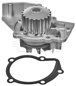 -Насос охолоджуючої рідини 307 2.0HDi 01-> BORG & BECK BWP1759