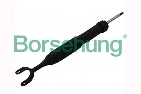 Передний амортизатор Borsehung B12140 (фото 1)