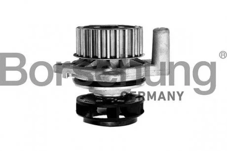 Насос водяной Borsehung B12688