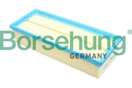 Фільтроелемент Borsehung B12811