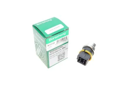 Датчик температуры Borsehung B13134