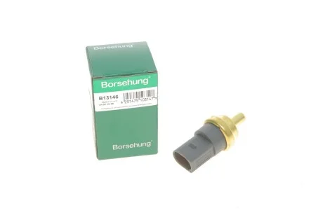 Датчик внутренней температуры Borsehung B13146