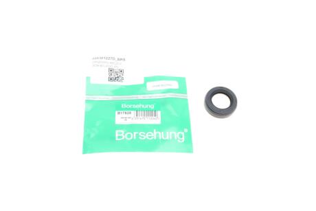 Ущільнююче кільце КПП Borsehung B17828