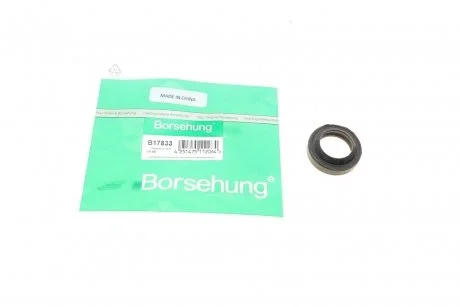 Ущільнююче кільце КПП Borsehung B17833