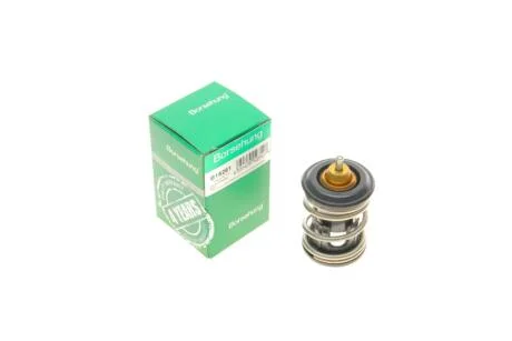 Термостат 86 C Borsehung B18261