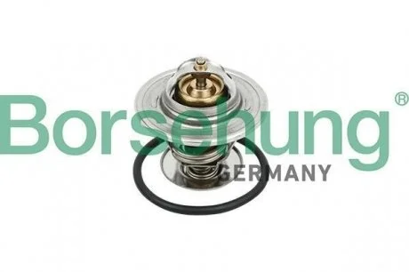 Термостат Borsehung B18281