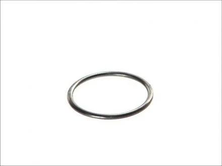 Кольцо уплотнительное BOSAL 256-170